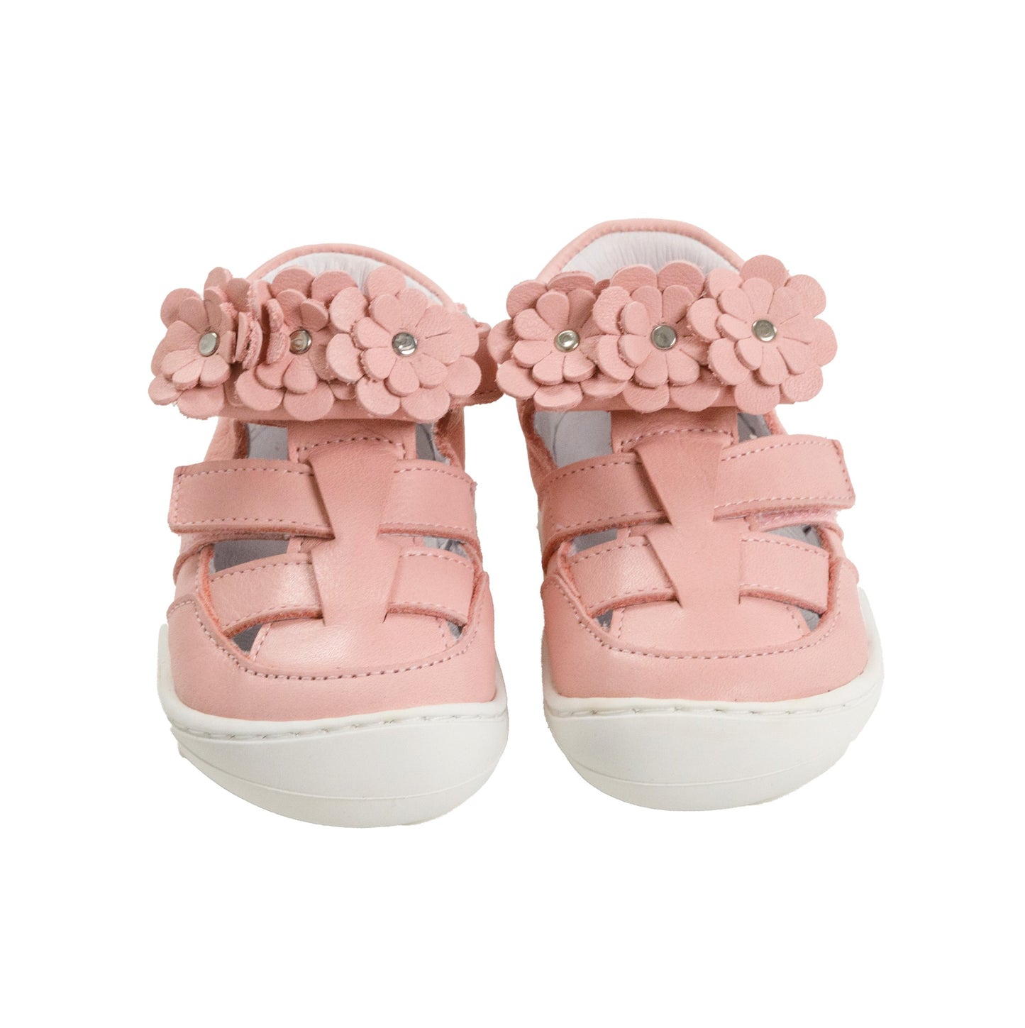 Tartaruga Barefoot