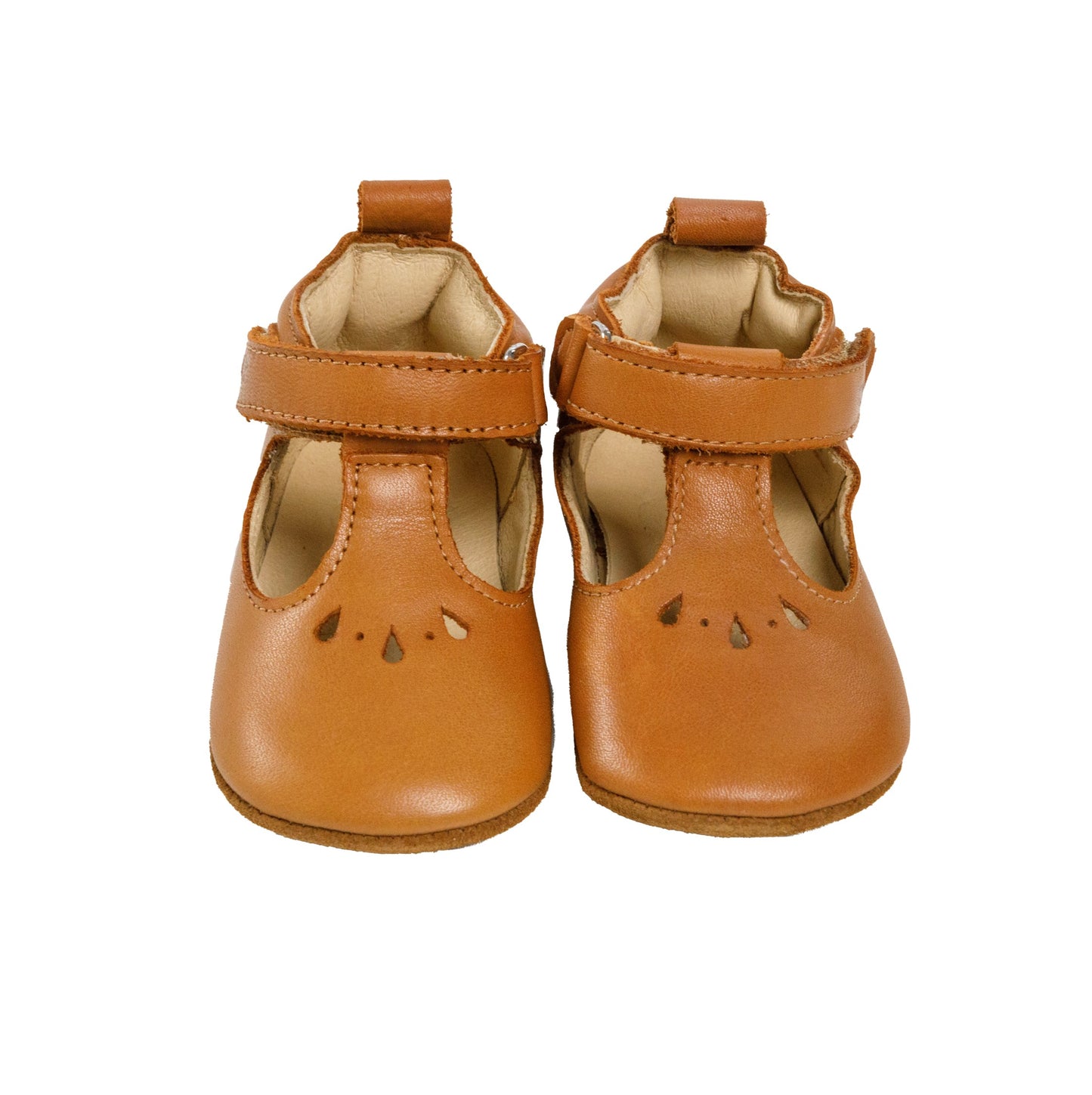Golfinho Barefoot Camel