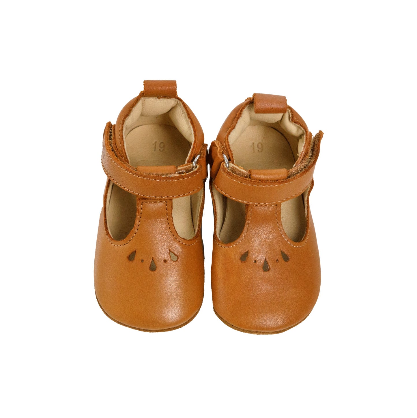 Golfinho Barefoot Camel