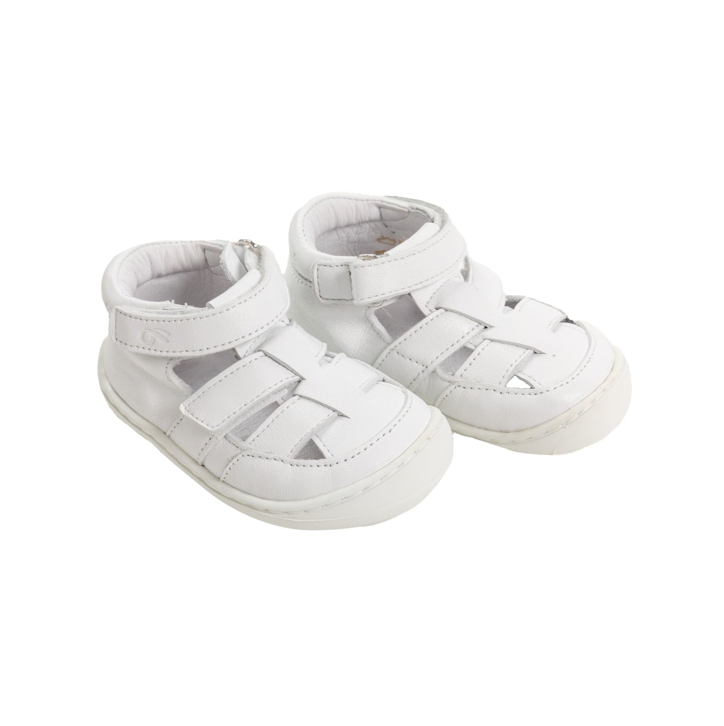 Tartaruga Barefoot