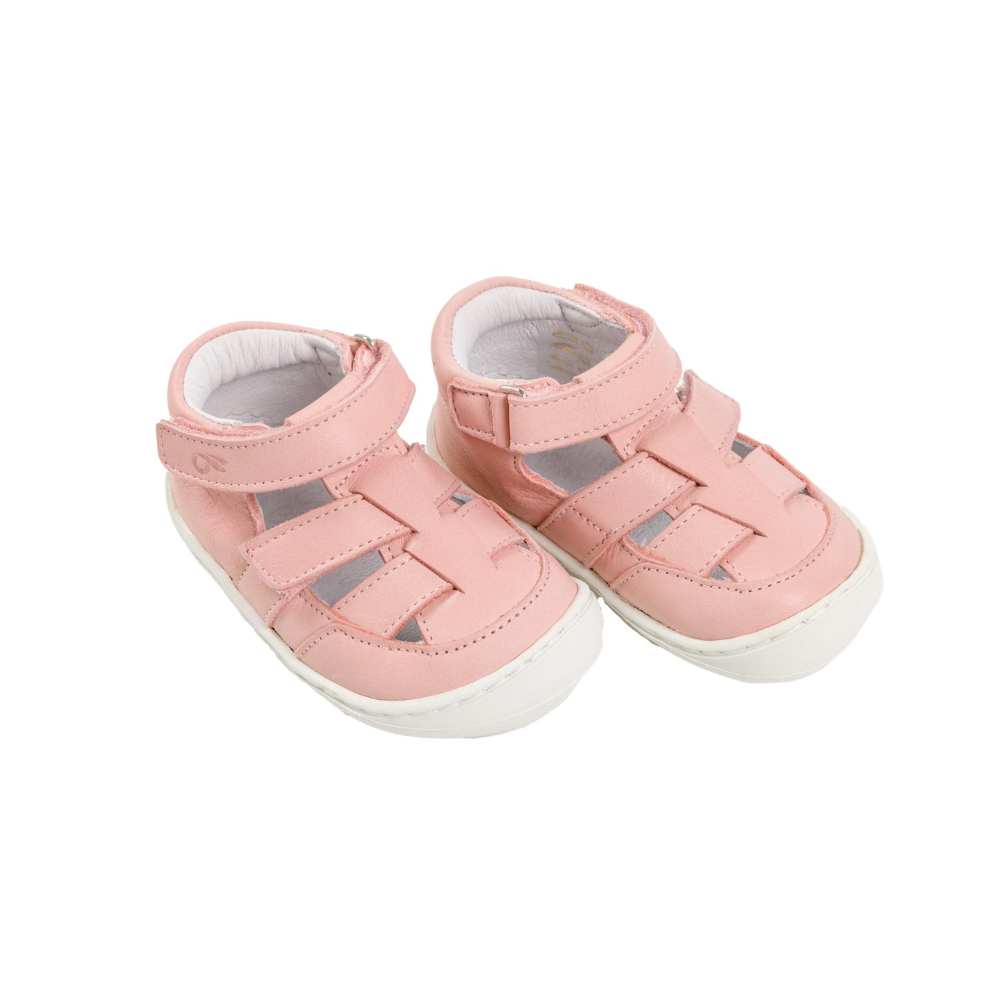 Tartaruga Barefoot