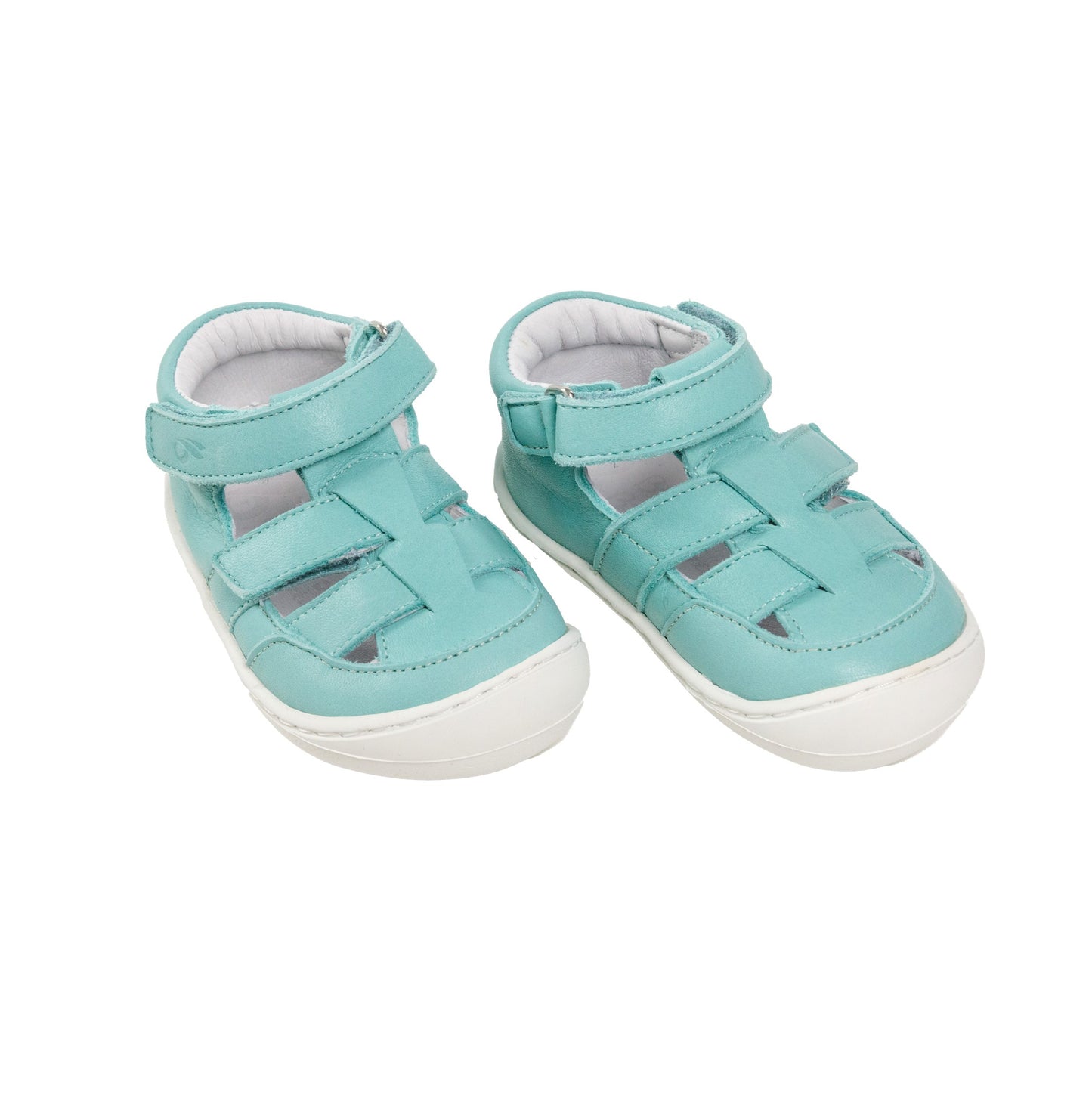 Tartaruga Barefoot