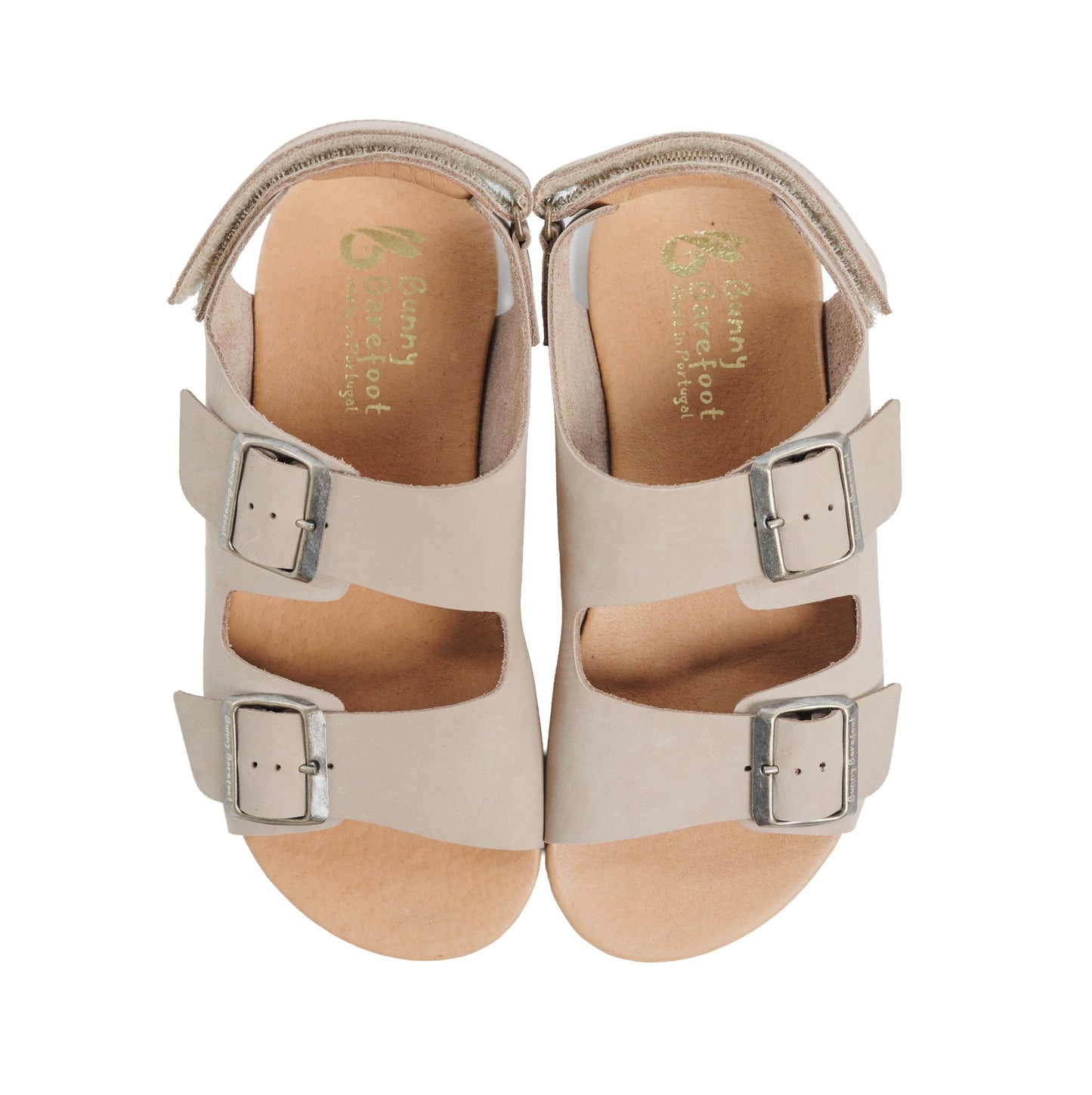 Caranguejo Barefoot Taupe (Adultos)