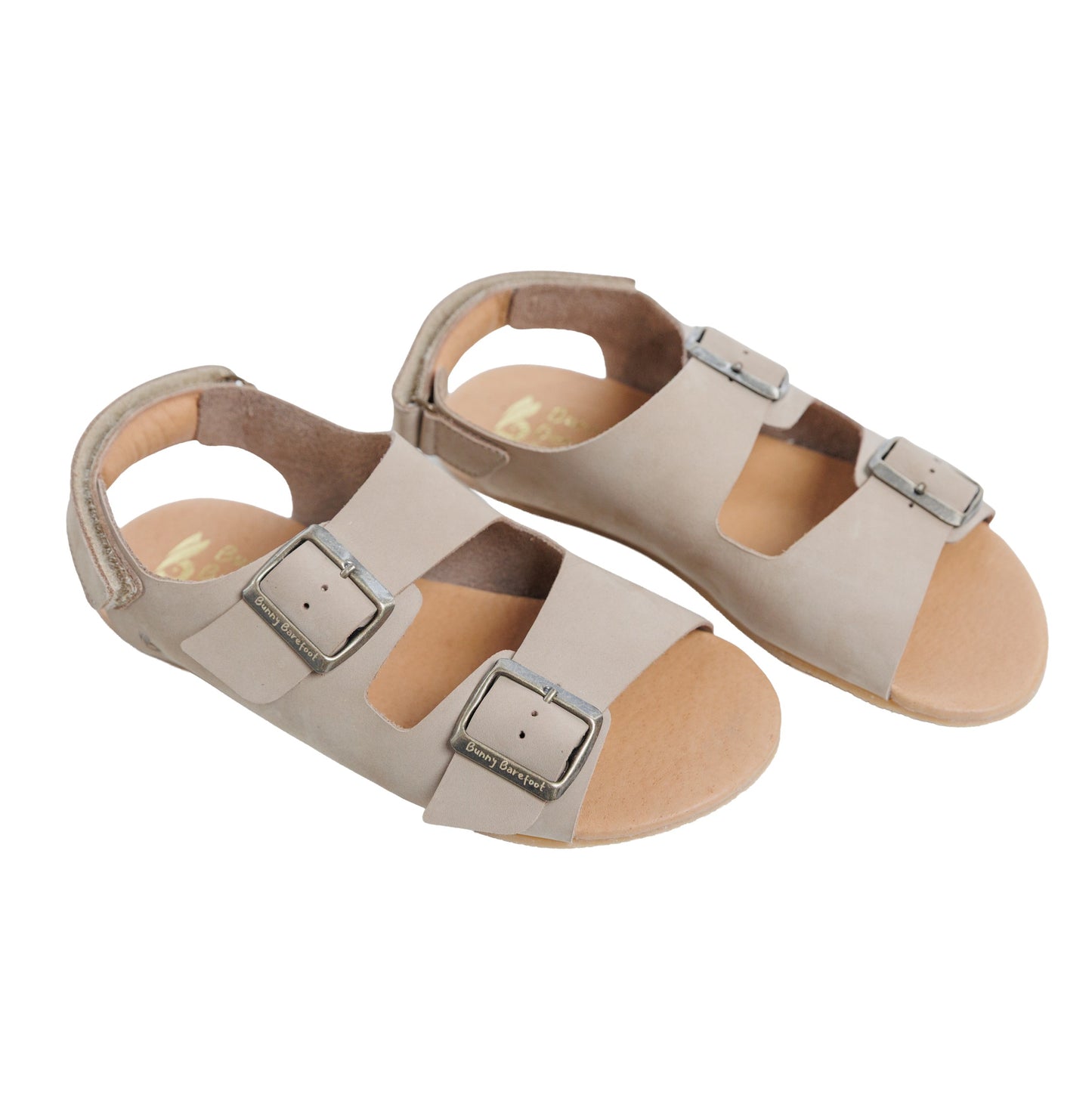 Caranguejo Barefoot Taupe (Adultos)