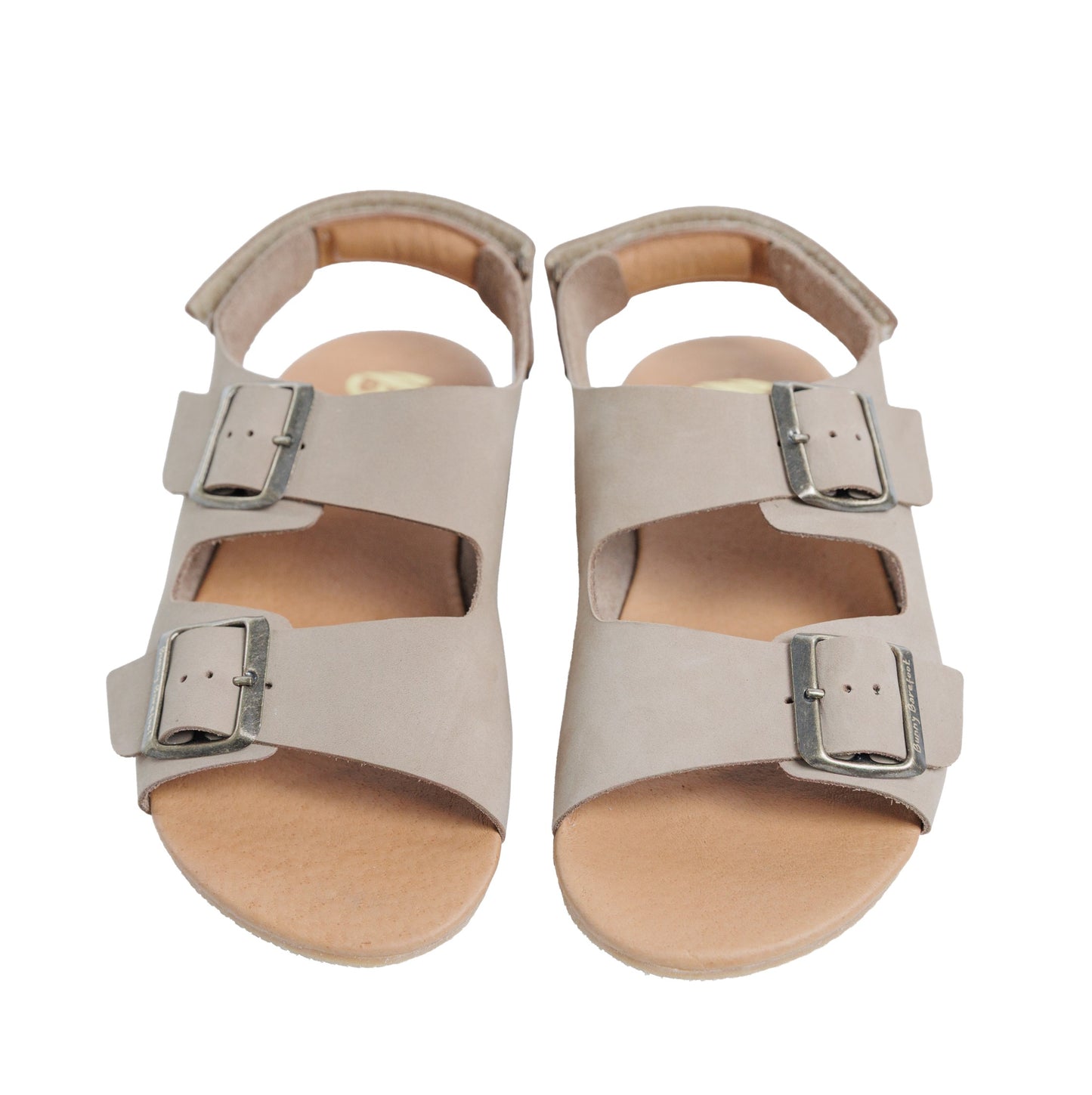 Caranguejo Barefoot Taupe (Adultos)