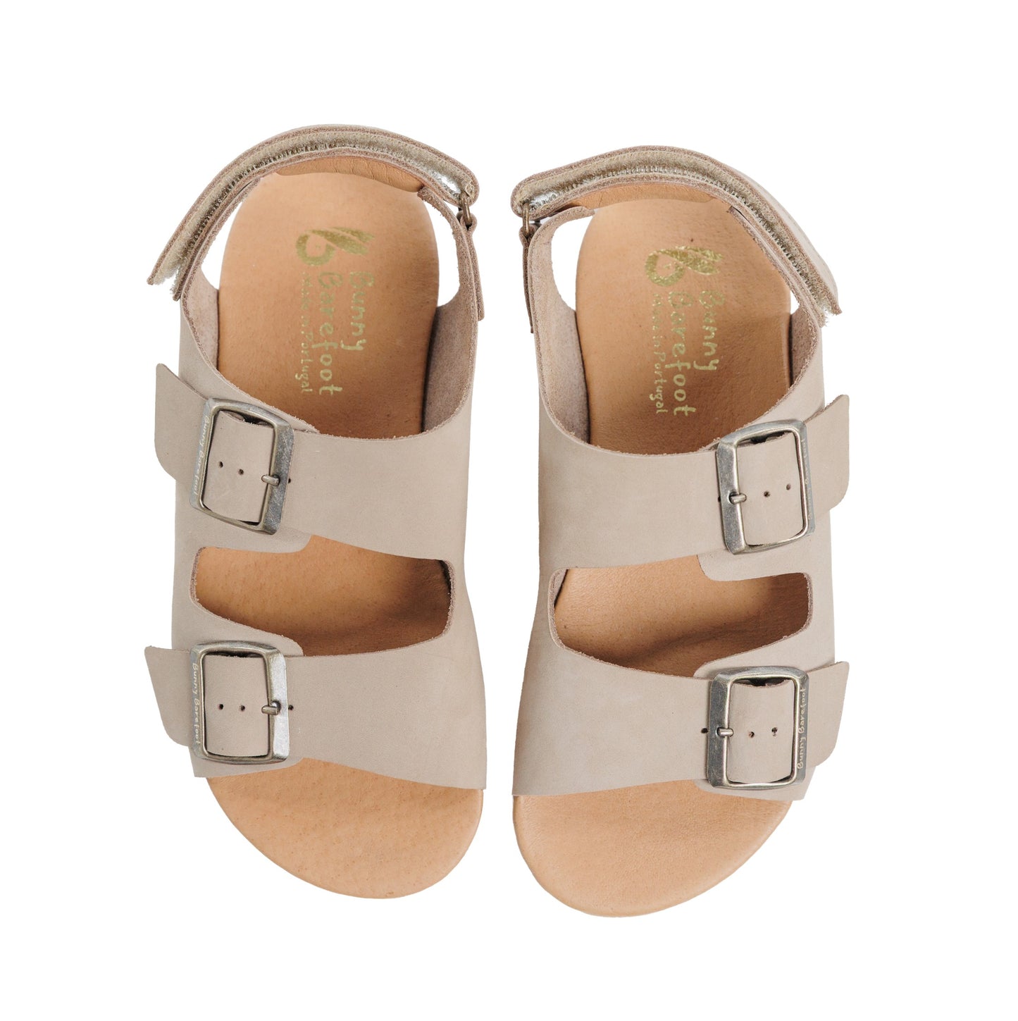 Caranguejo Barefoot Taupe (Adultos)