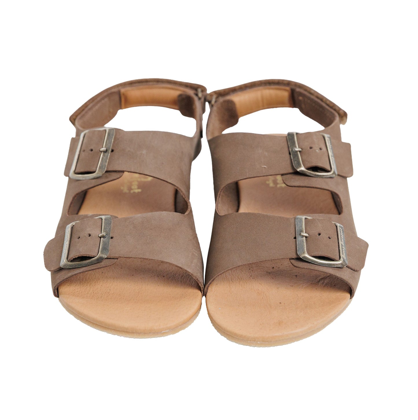 Caranguejo Barefoot Moca (Adultos)