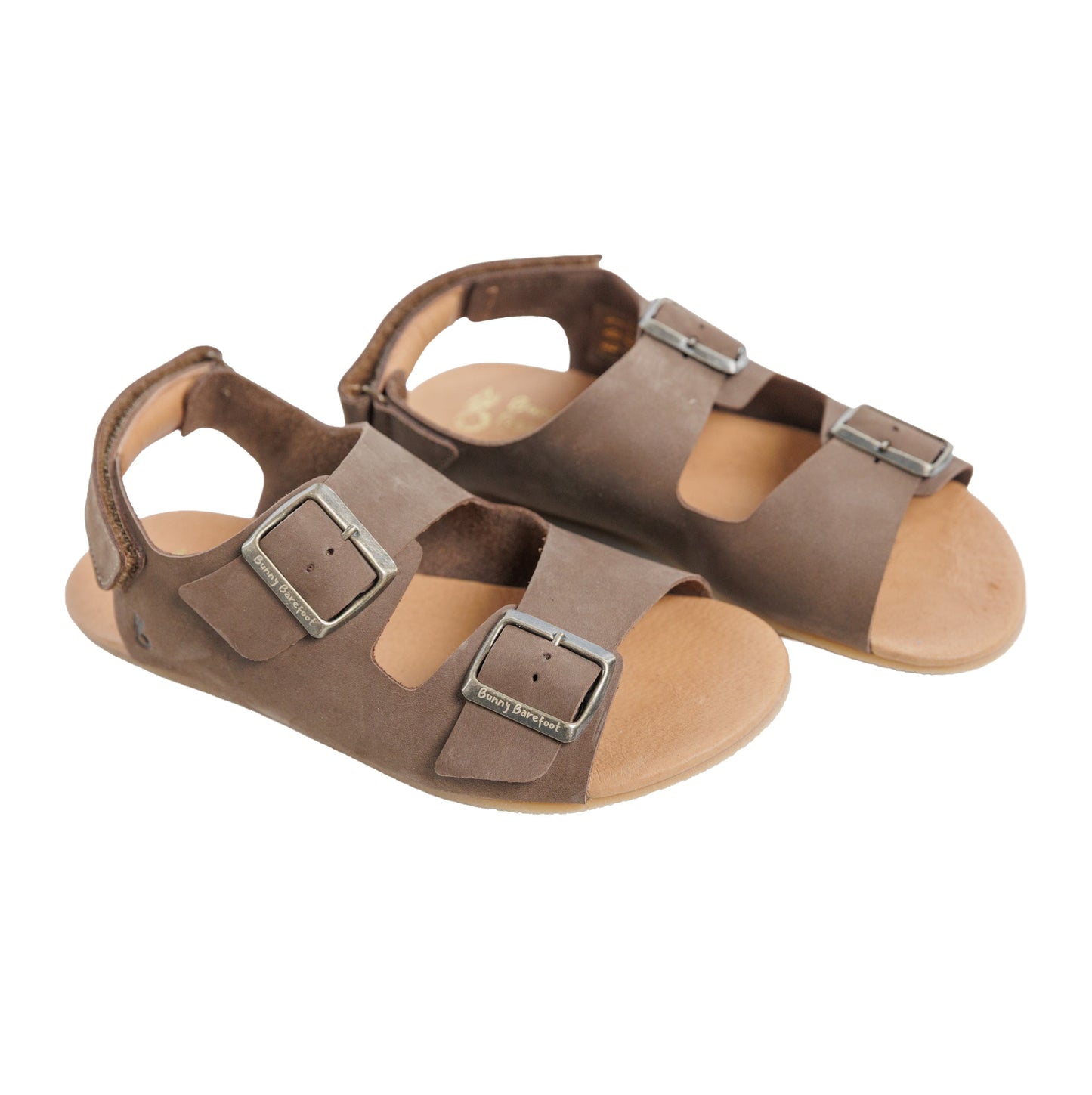Caranguejo Barefoot Moca (Adultos)