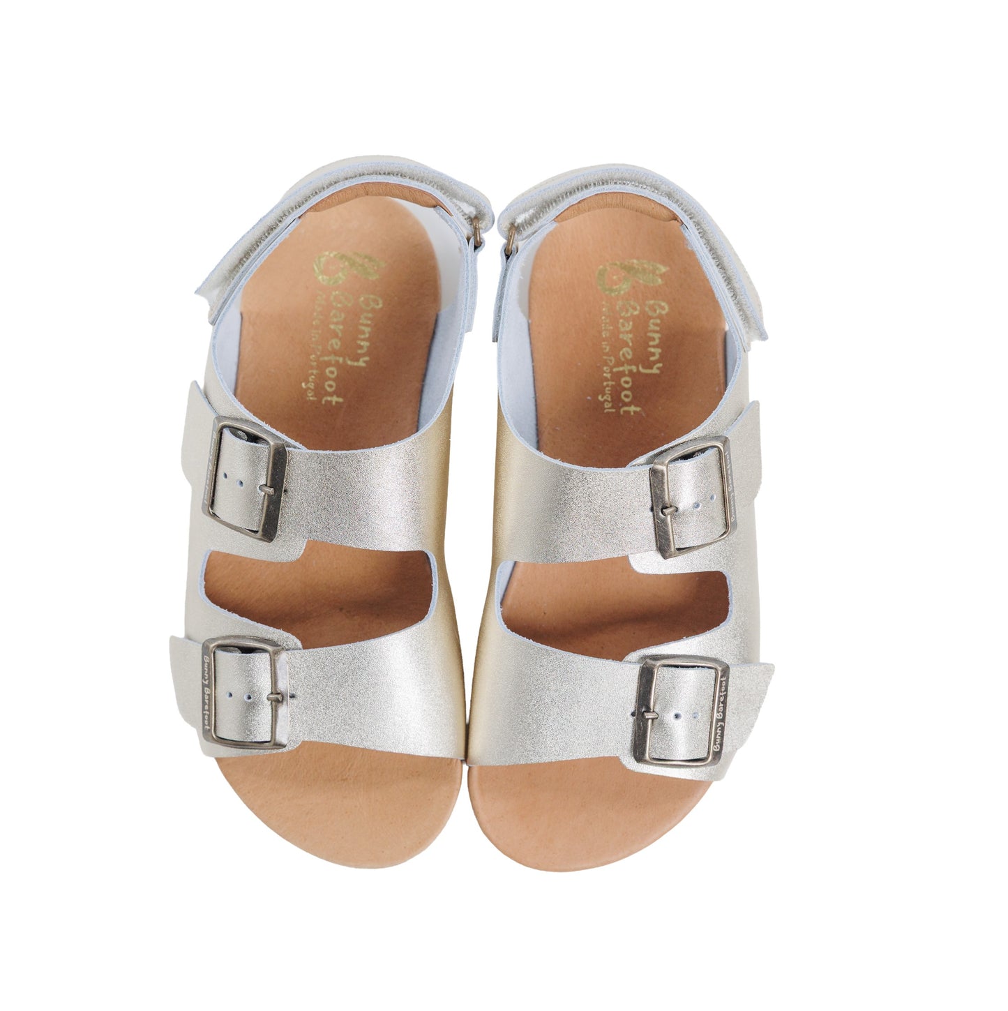 Caranguejo Barefoot Dourado (Adultos)
