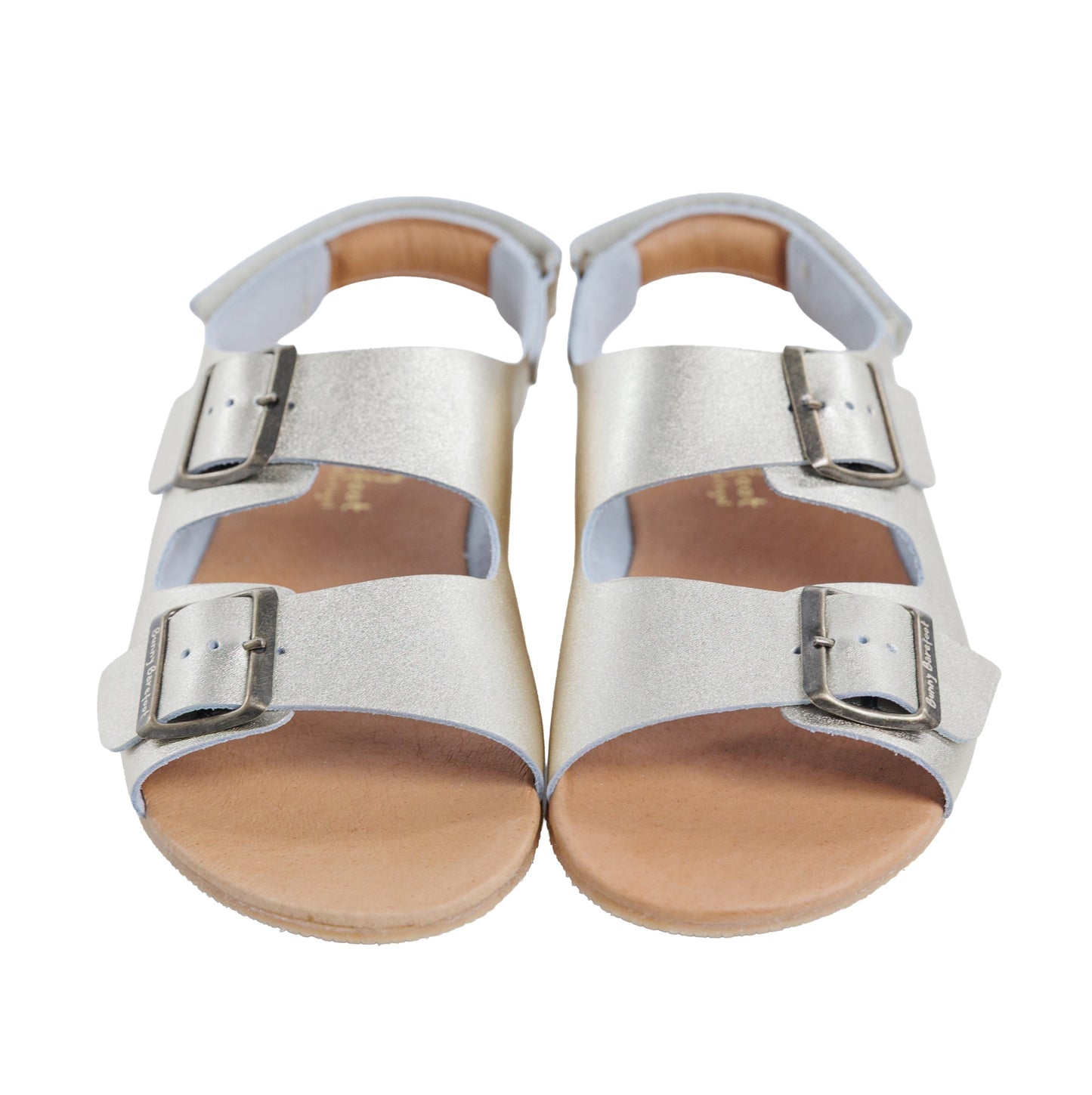 Caranguejo Barefoot Dourado (Adultos)