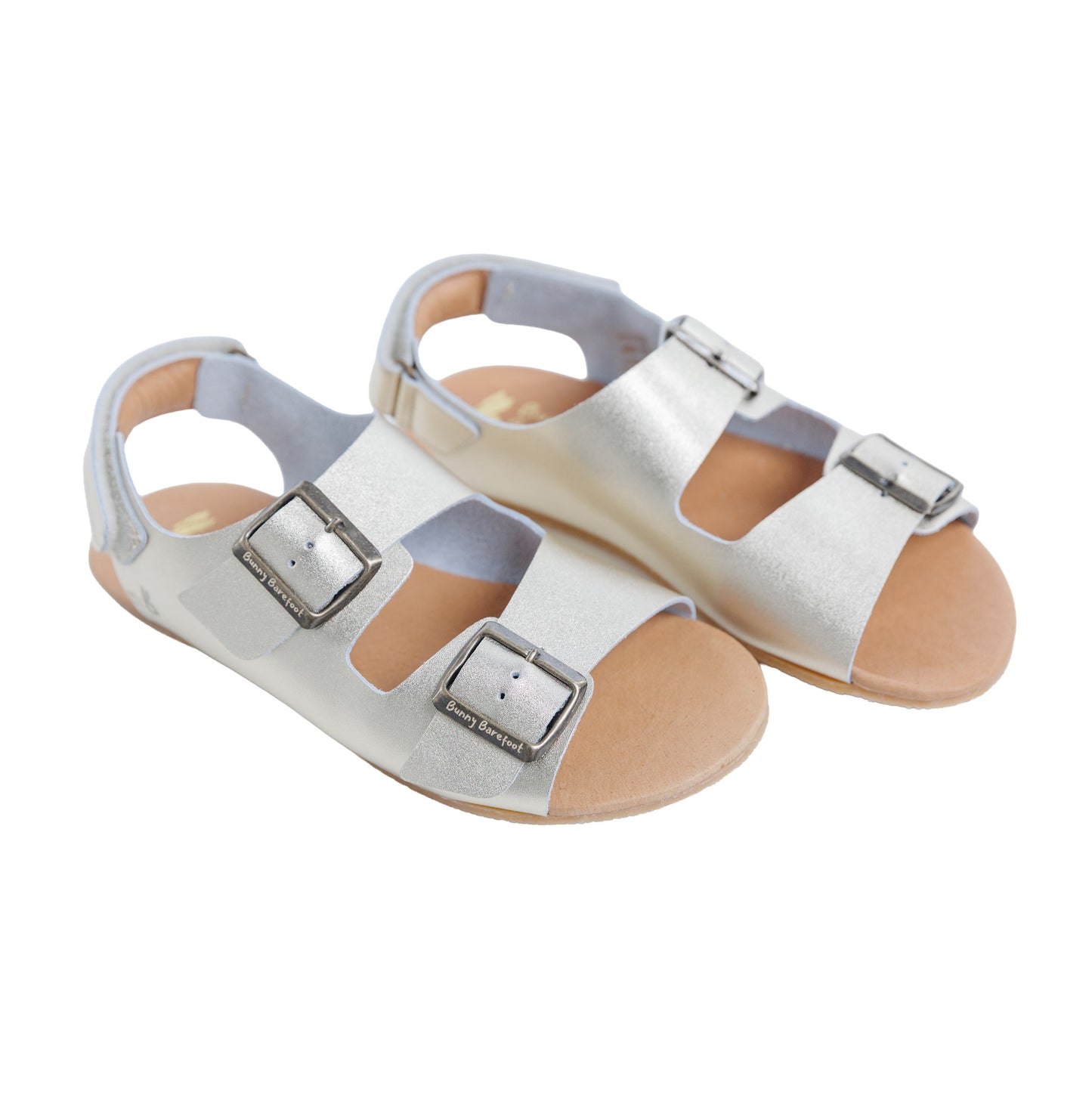 Caranguejo Barefoot Dourado (Adultos)