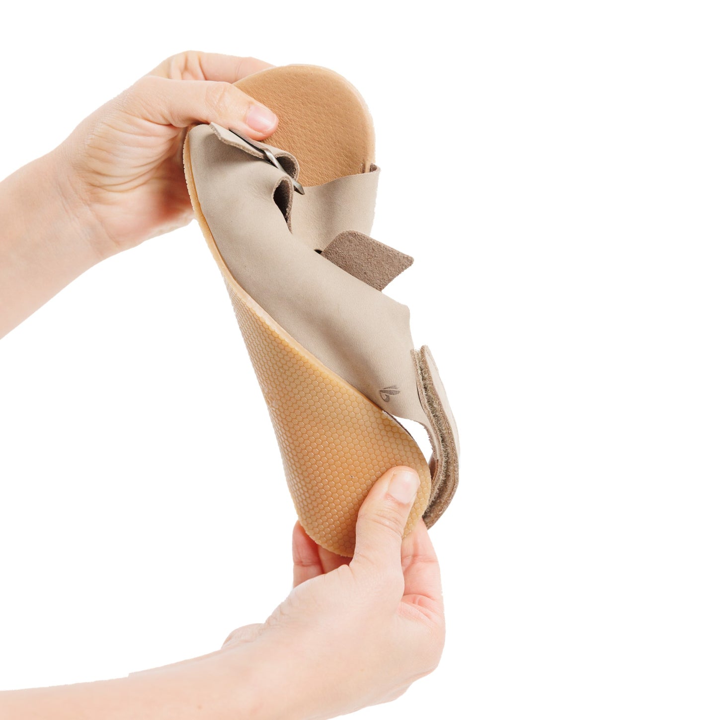 Caranguejo Barefoot Dourado (Adultos)