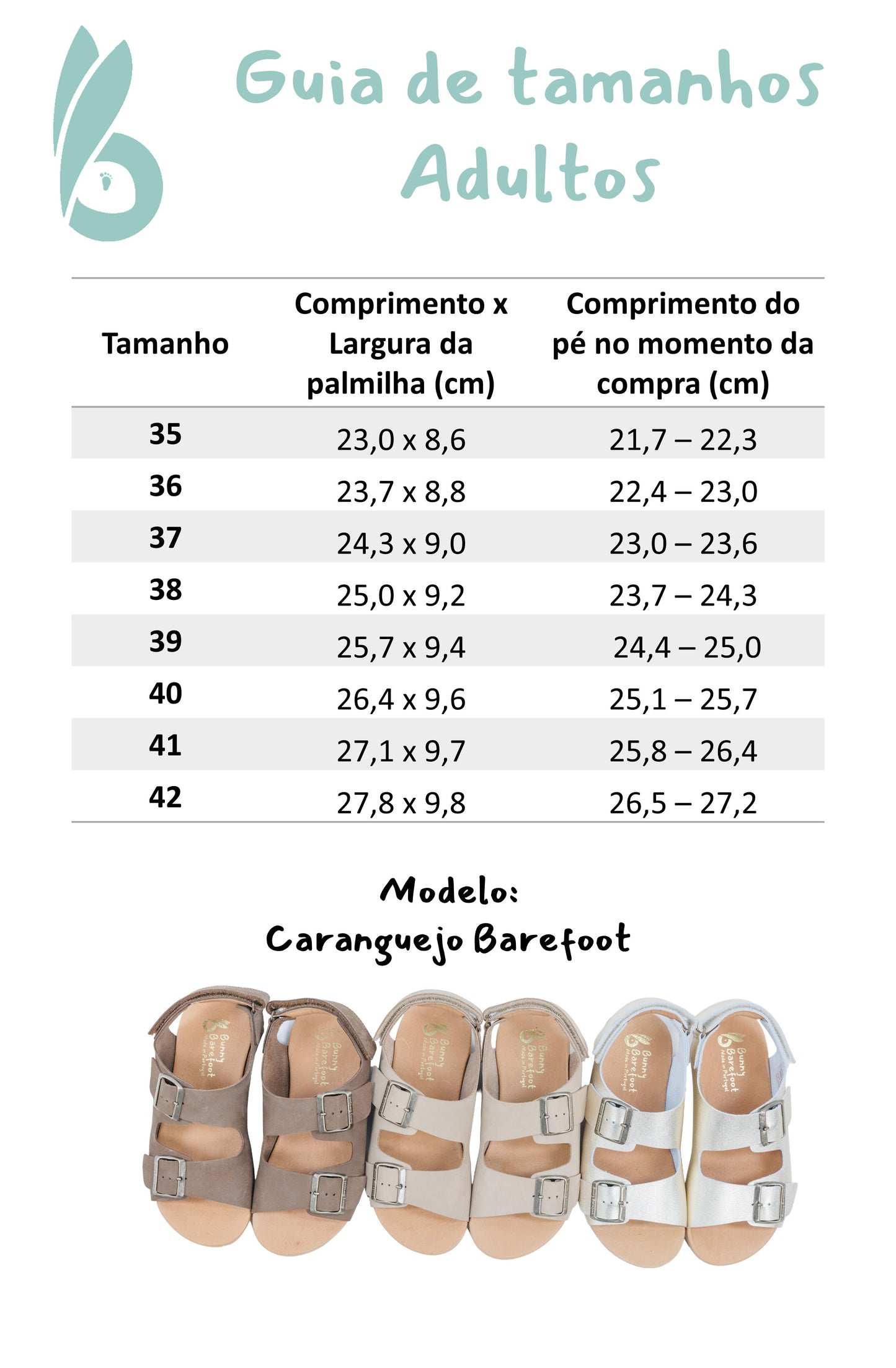 Caranguejo Barefoot Dourado (Adultos)